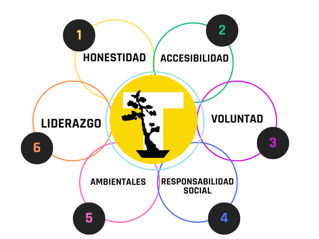 Valores-Telynet-3