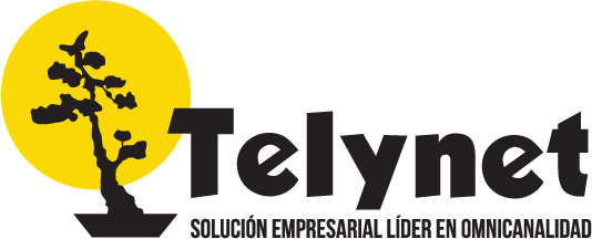 logo-valores-telynet